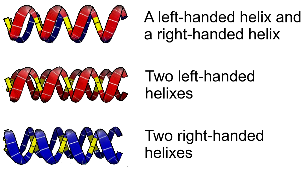 Hand Halix Gravity, in a simple physics model